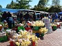 5.6- Jour de marche a Rotorua